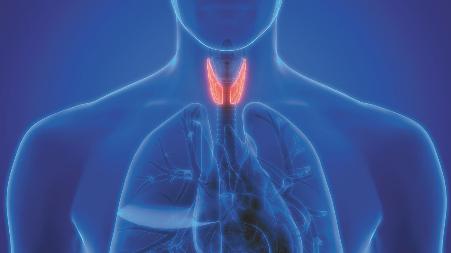 Thyroid Management